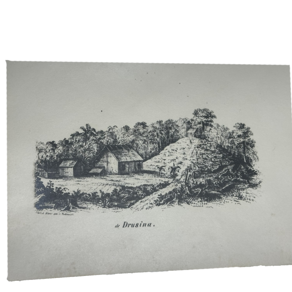 IMG_2039 - Barracão de imigrantes família Drusina, anos de 1860 – Colônia de Dona Francisca